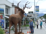 Enderby resident checks out the new deer sculpture