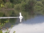 new drinking water buoy in Enderby BC