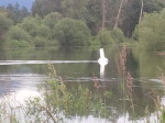 new drinking water buoy in Enderby on the Shuswap River