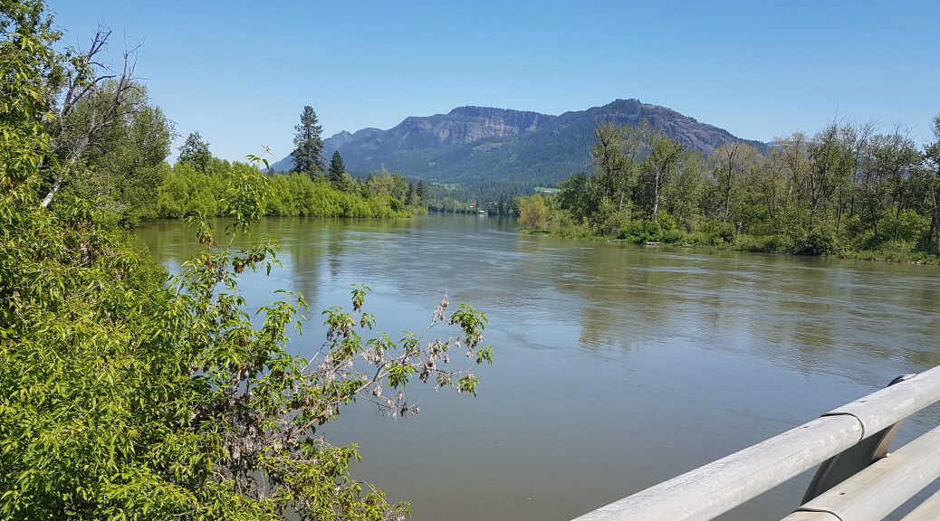 Shuswap River May 15 2018