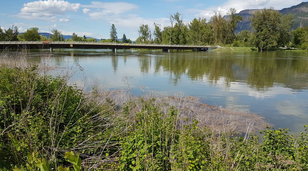 Enderby Flooding May 20 2018 Bridge