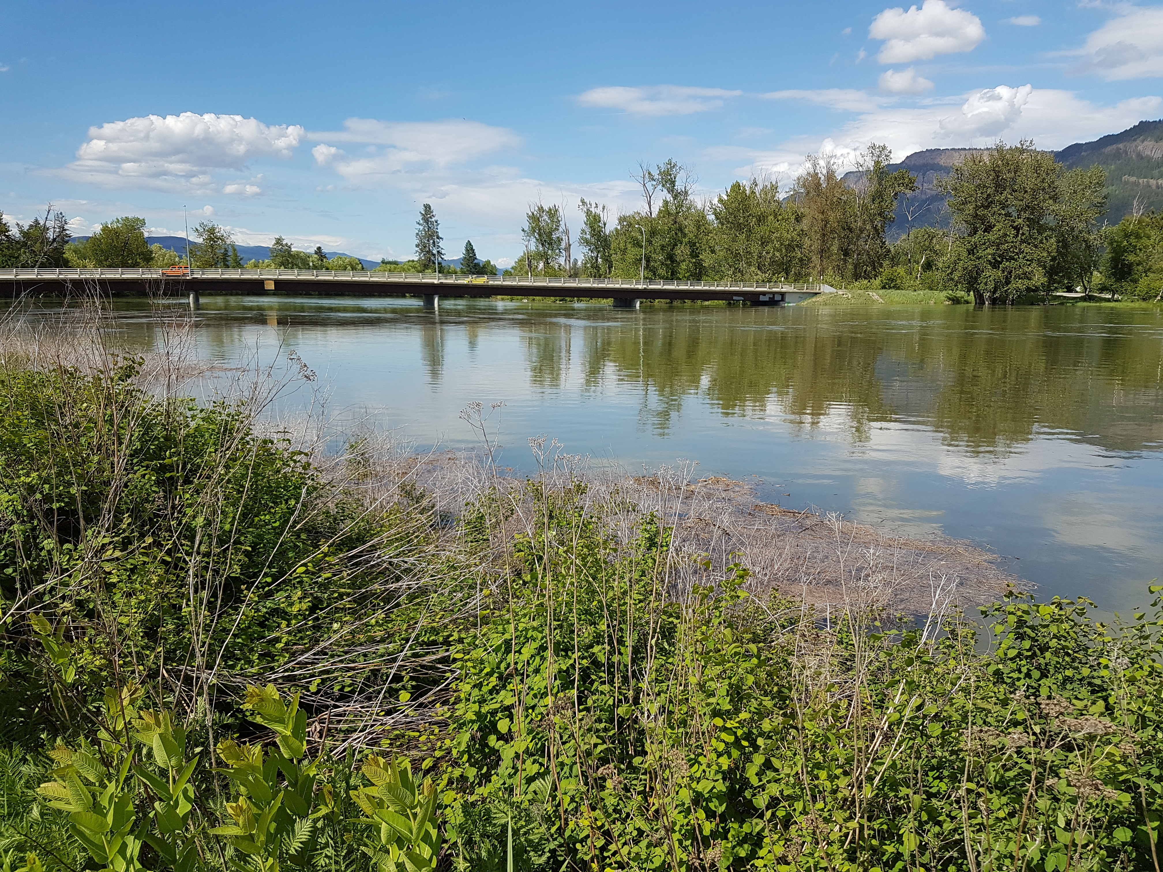 Enderby Flooding May 20 2018 Bridge