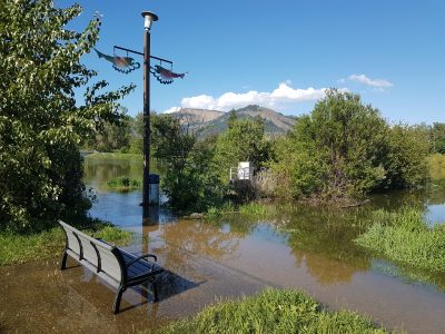 Enderby Riverwalk Bench Flooded