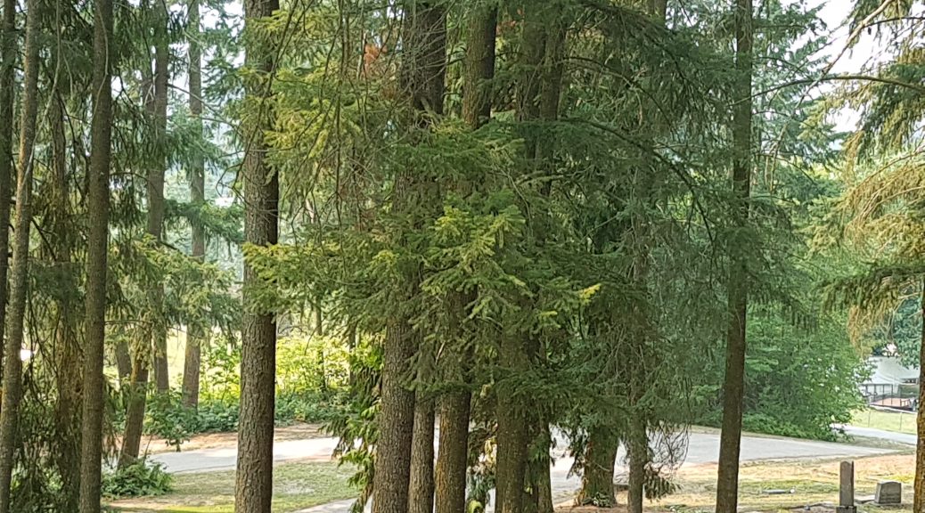 Cliffside Cemetery in Enderby BC