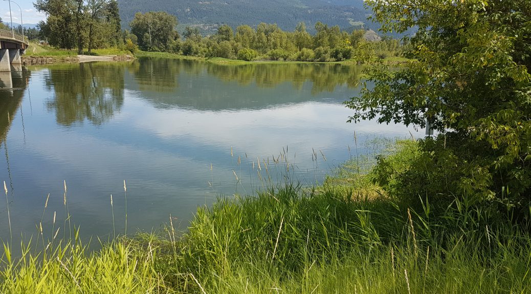 Shuswap River 20 06 2020