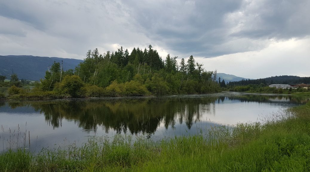 Shuswap River July 6 2020