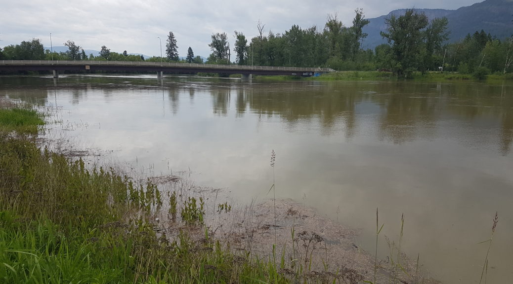 Shuswap River 2022 06 14