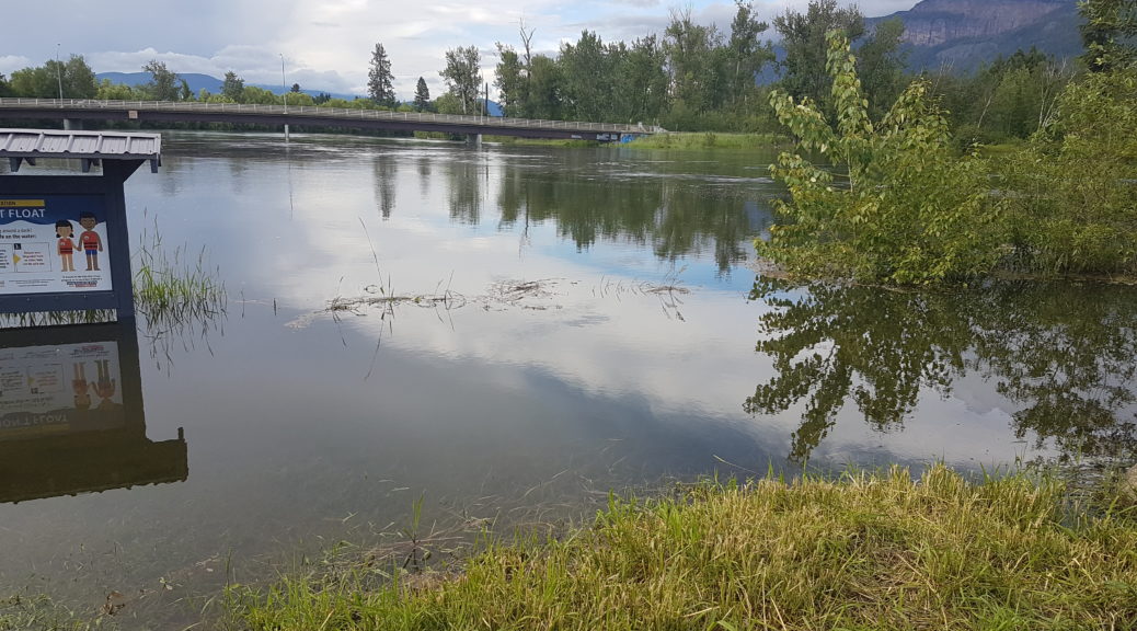 Shuswap River 2022 06 19 1