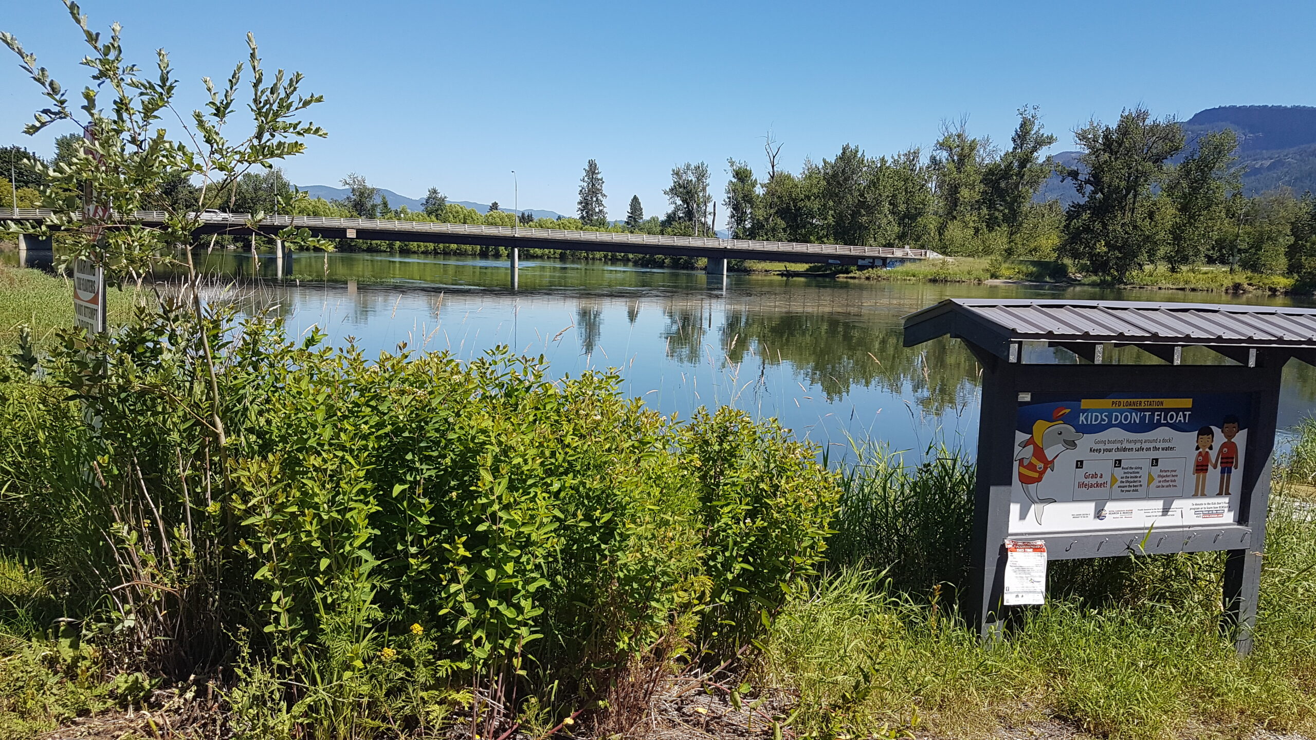 Shuswap River 20220711 11