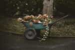 Wheelbarrel pruning
