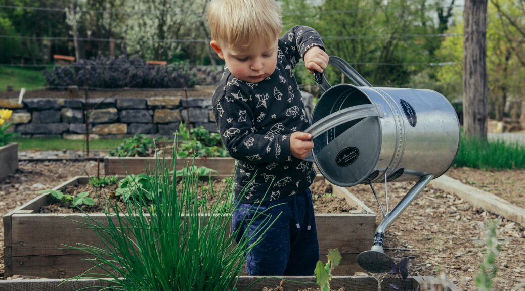 Child waters raised garden bed
