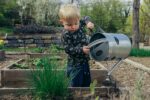 Child waters raised garden bed