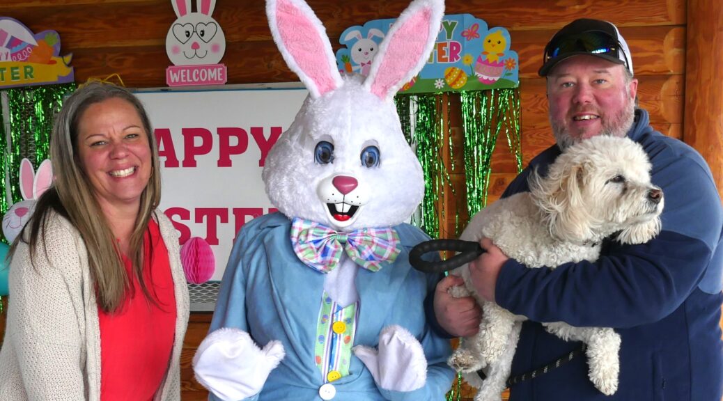 Easter dog with bunny