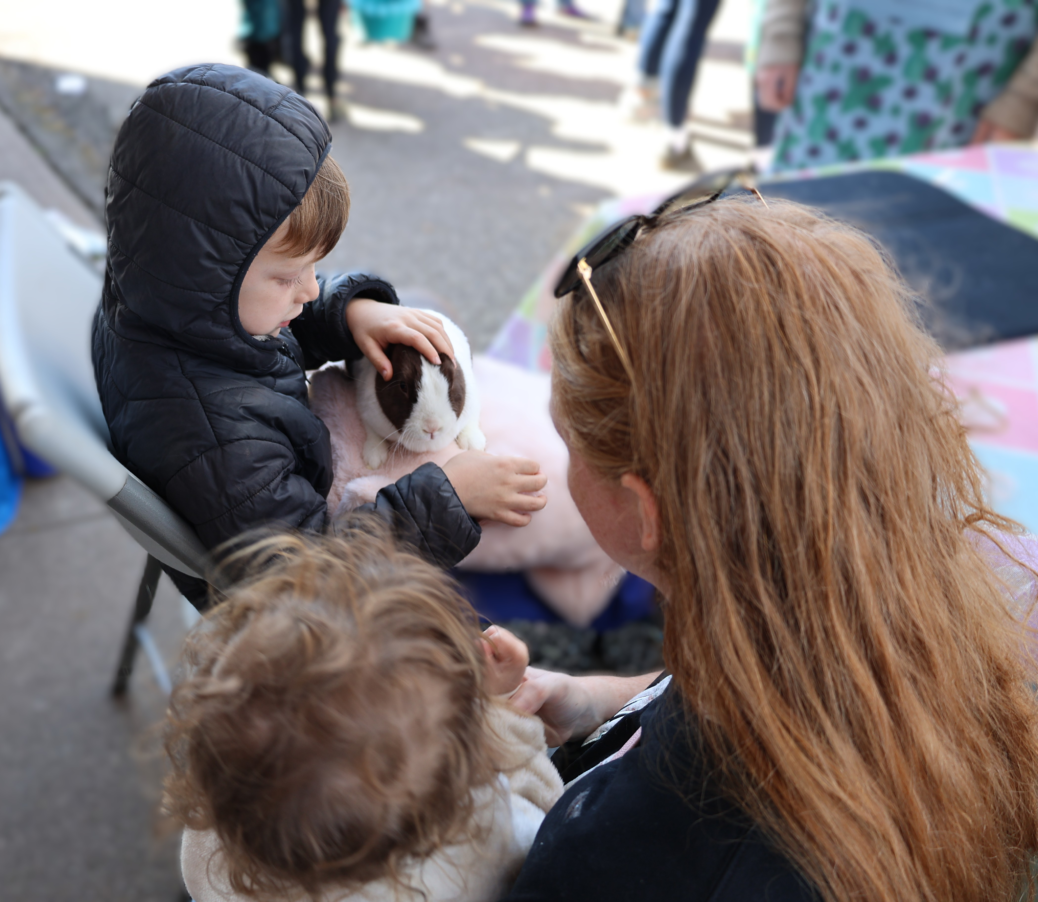 Boy petting bunny
